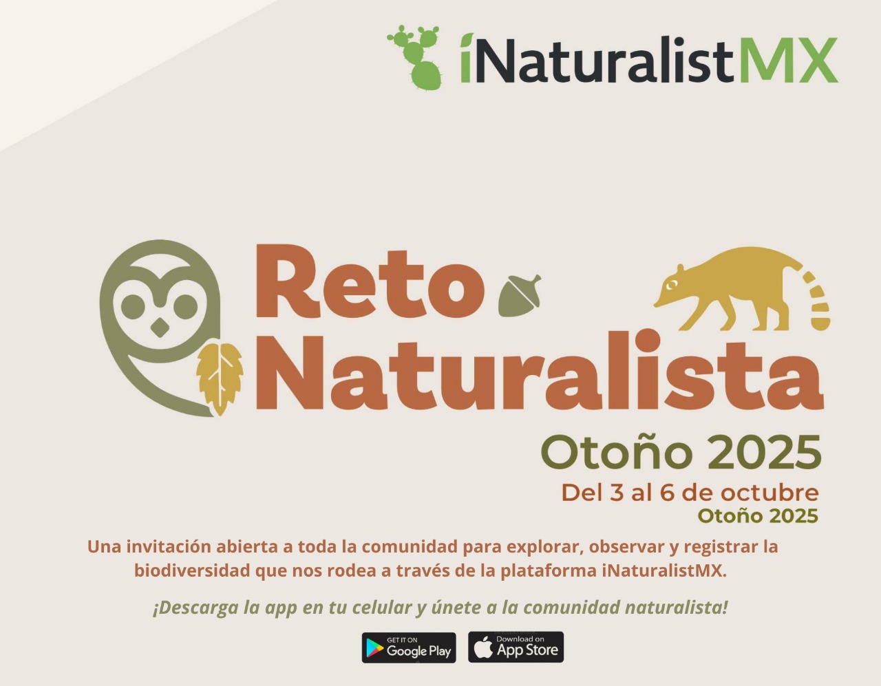 Reto Naturalista Otoño 2025 en Loreto